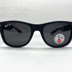 Ray Ban Polarised Sunglasses-65112